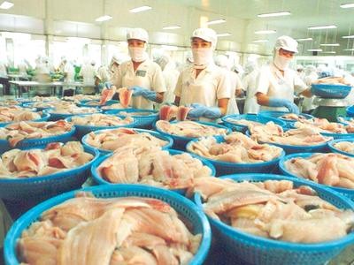 Collecting opinions about Decree on tra fish production and export - ảnh 1